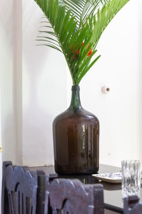 Villa Barbosa, 2 Bhk Villa & Luxury Rooms Near Colva, Sernabatim, Benaulim Beach Zewnętrze zdjęcie